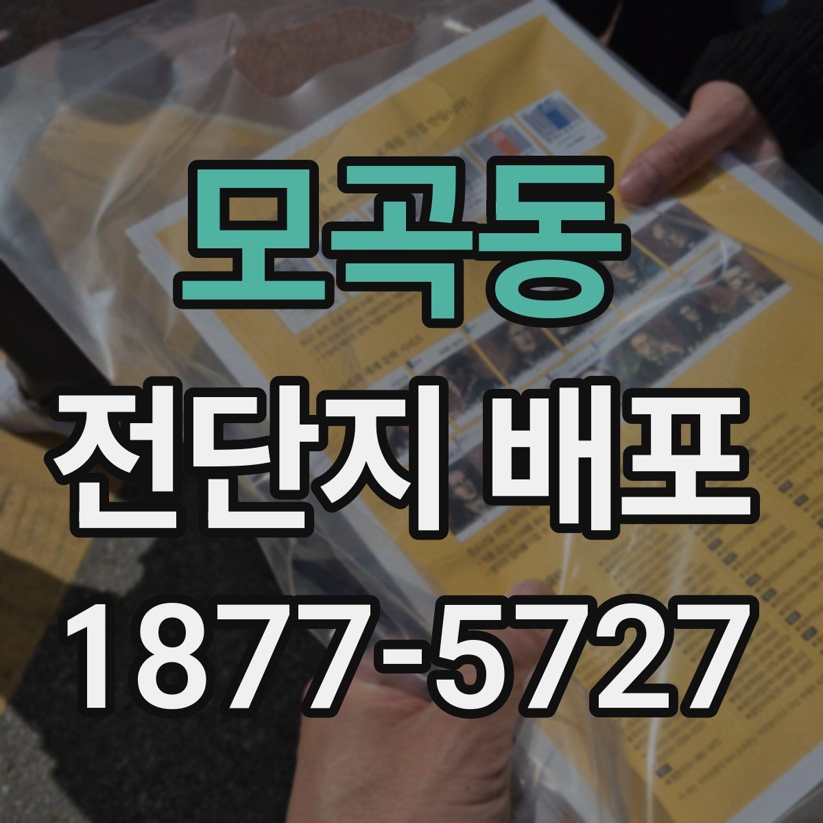 모곡동 전단지 배포