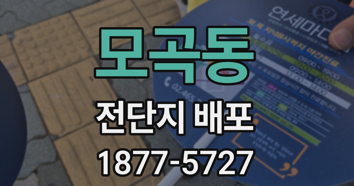모곡동 전단지 배포