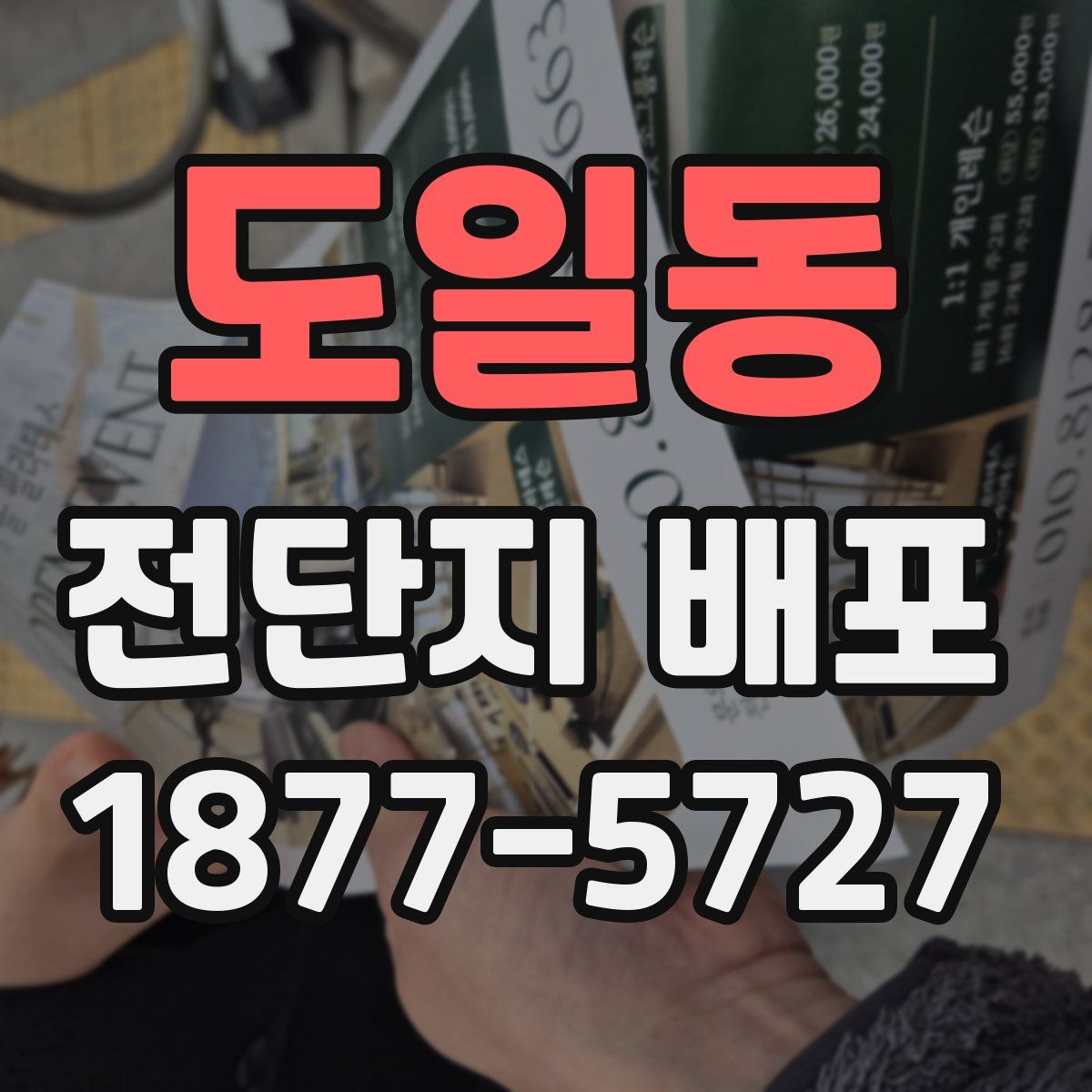 도일동 전단지 배포