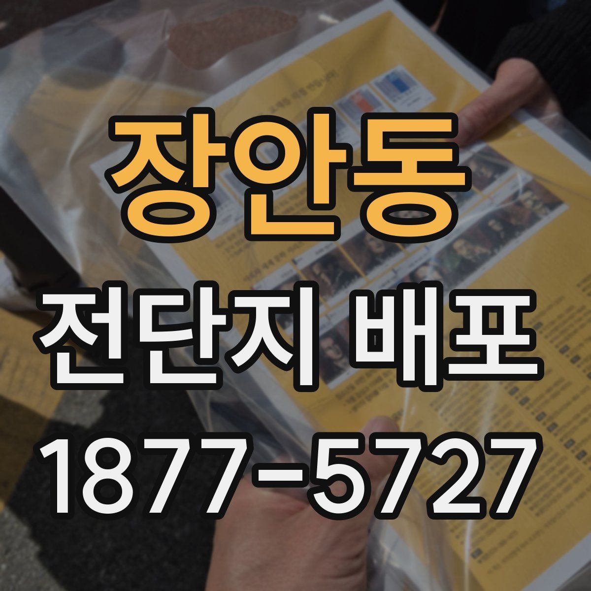 장안동 전단지 배포