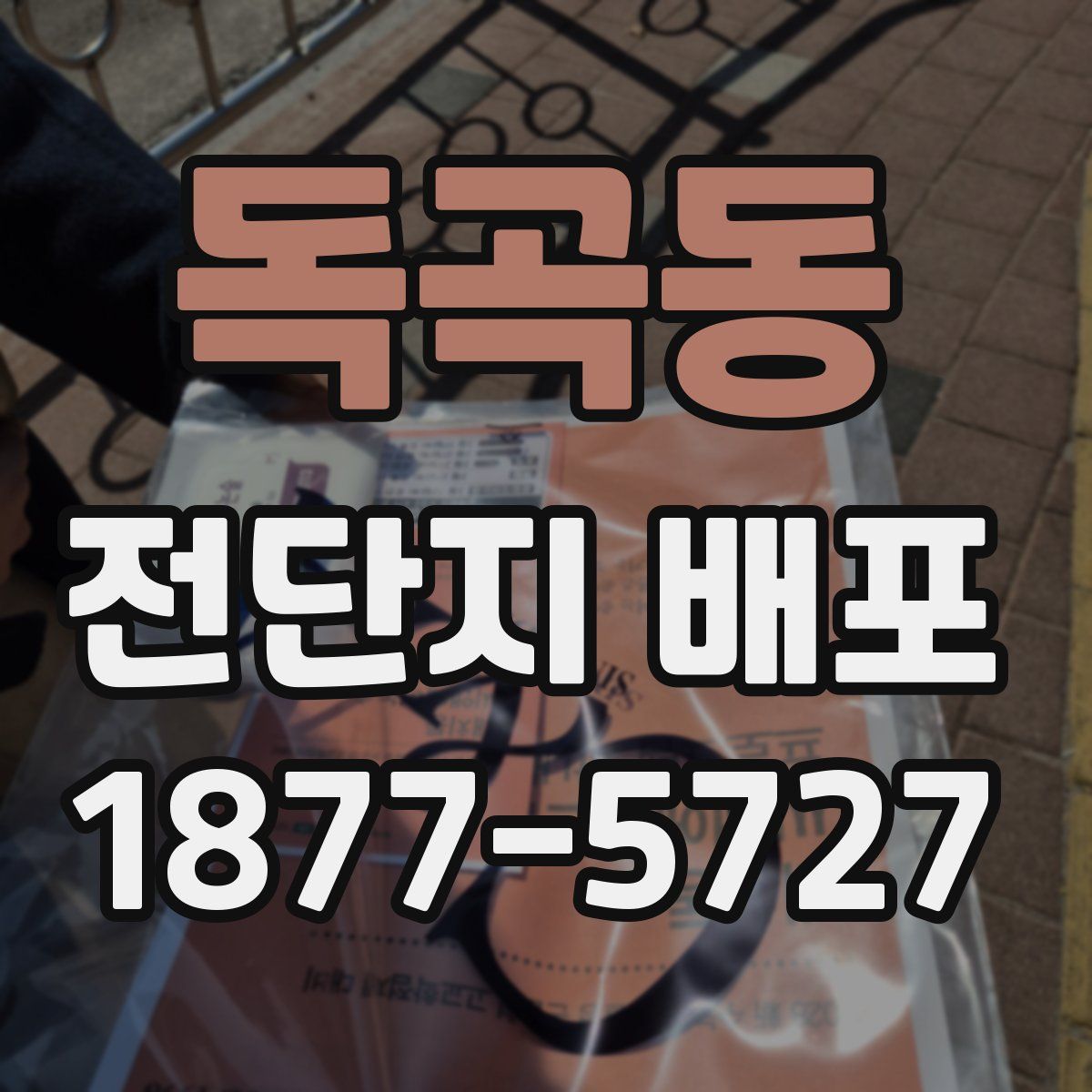 독곡동 전단지 배포
