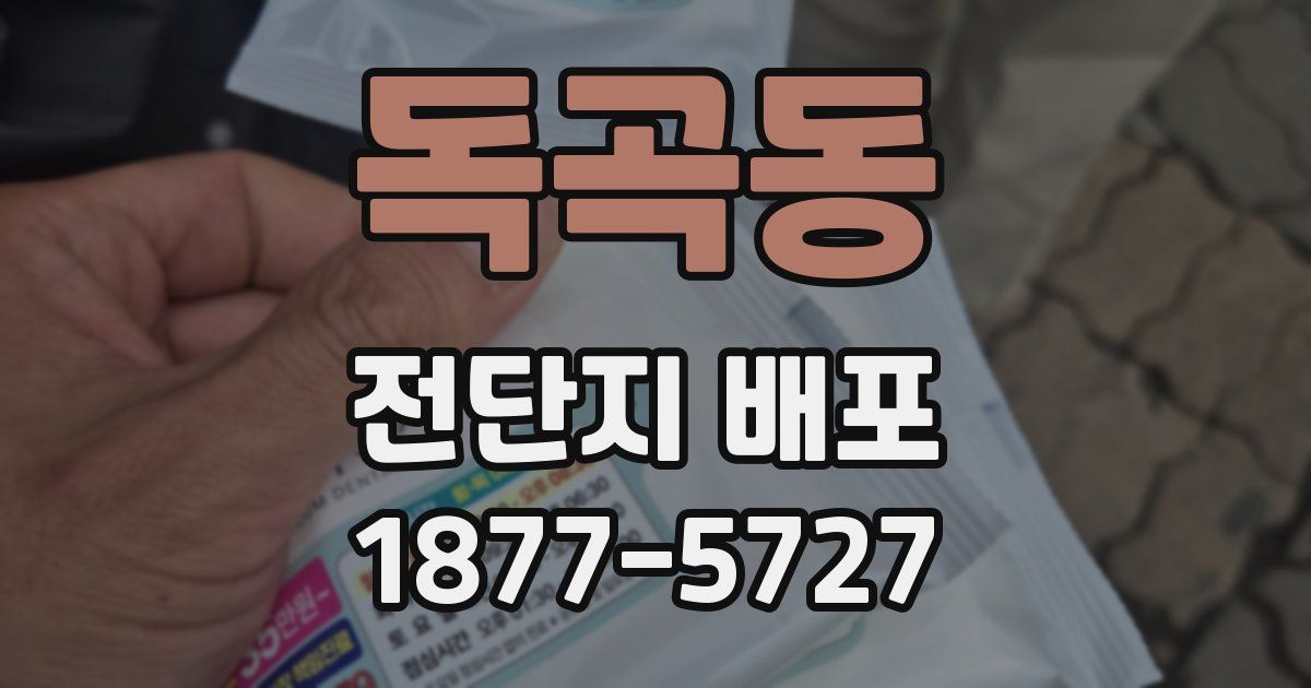 독곡동 전단지 배포