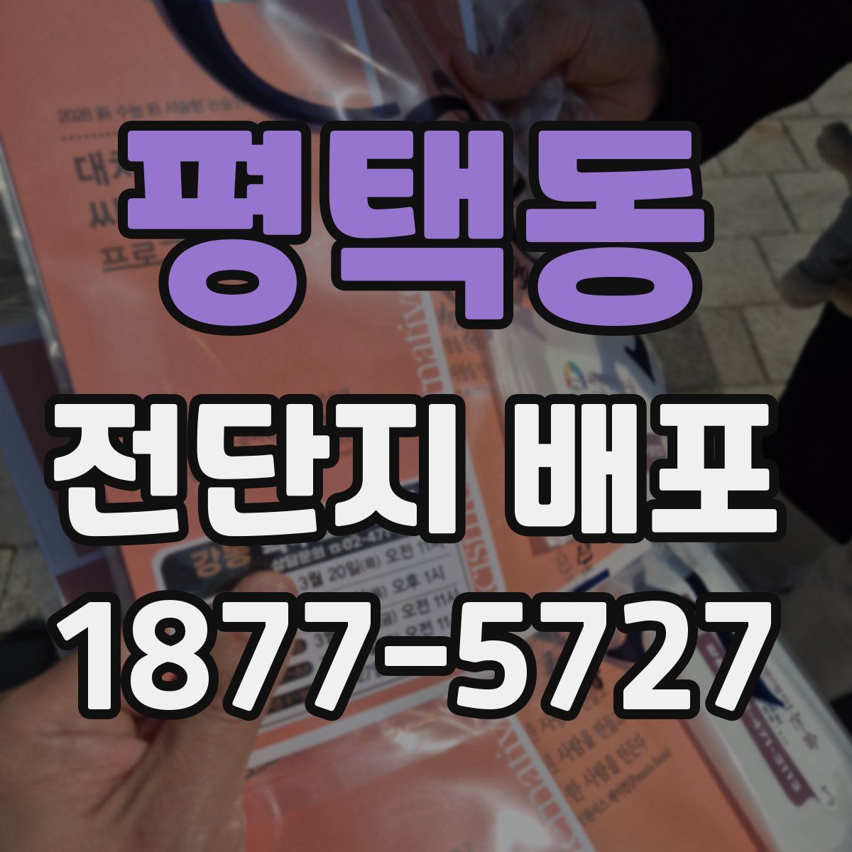 평택동 전단지 배포