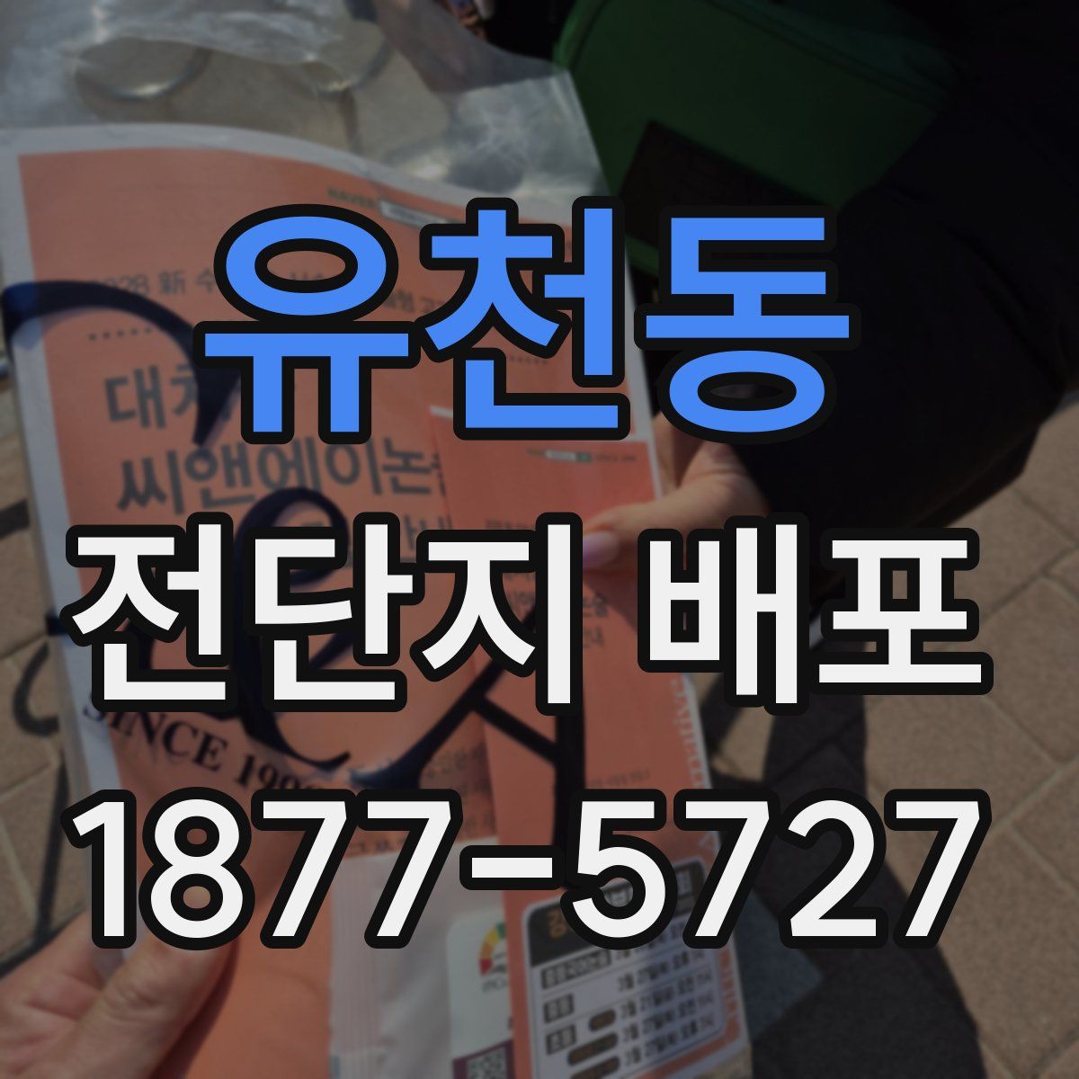 유천동 전단지 배포