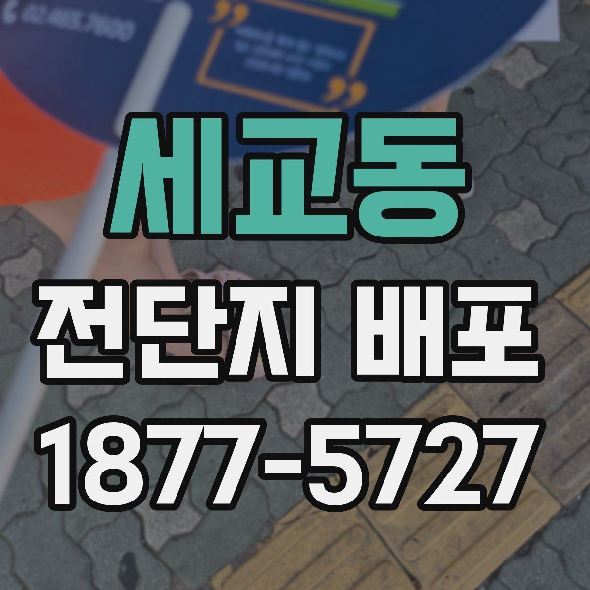 세교동 전단지 배포