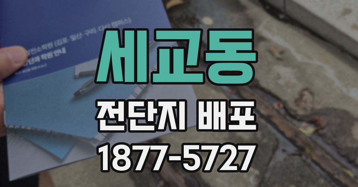 세교동 전단지 배포