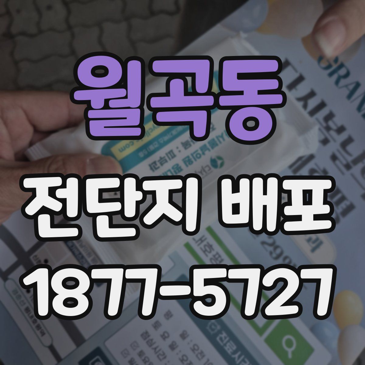 월곡동 전단지 배포