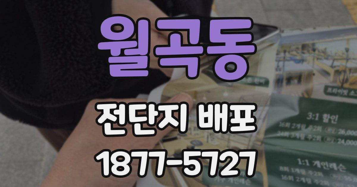 월곡동 전단지 배포