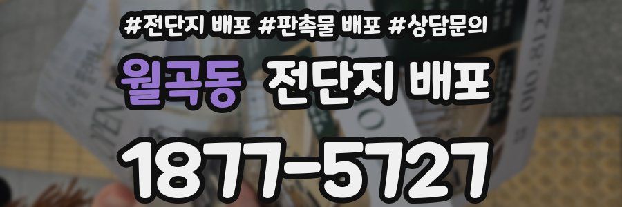 월곡동 전단지 배포