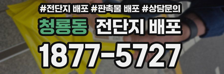 청룡동 전단지 배포