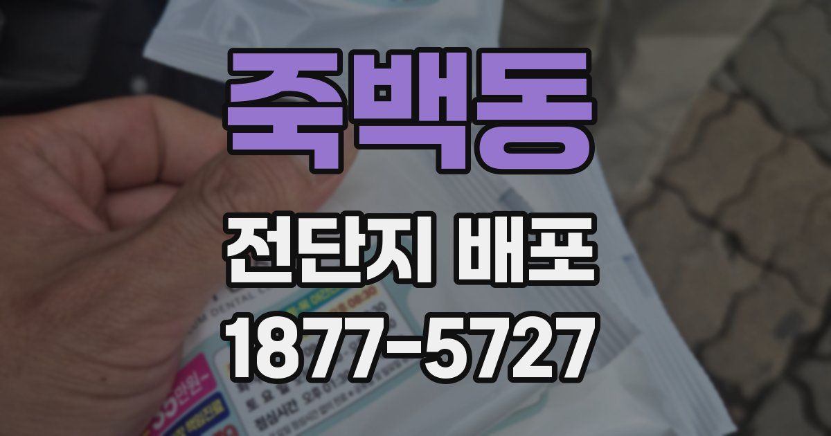 죽백동 전단지 배포