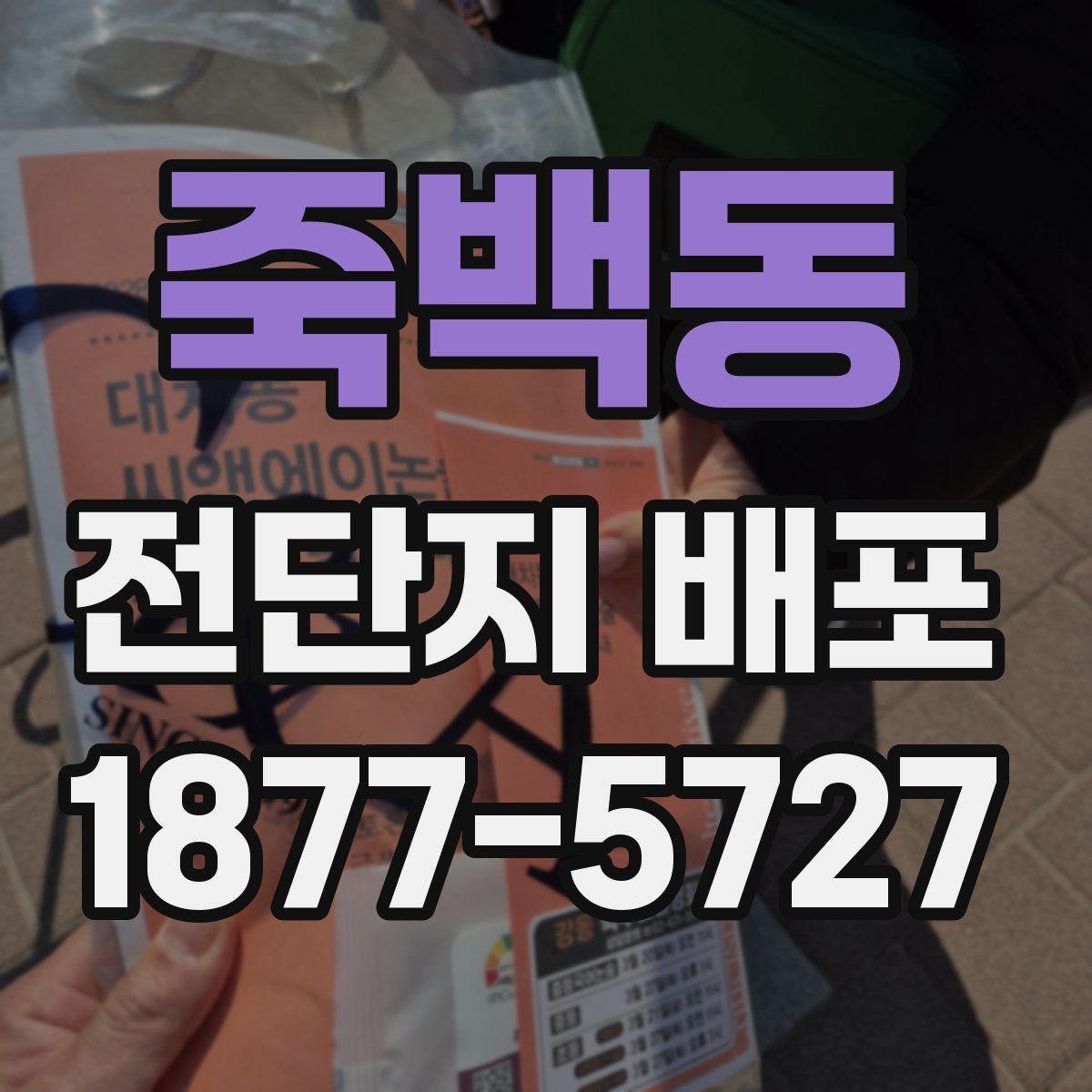죽백동 전단지 배포