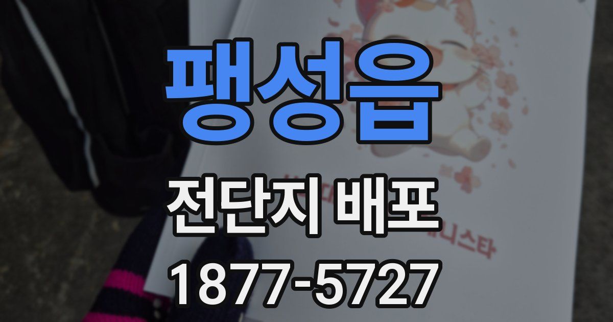 팽성읍 전단지 배포