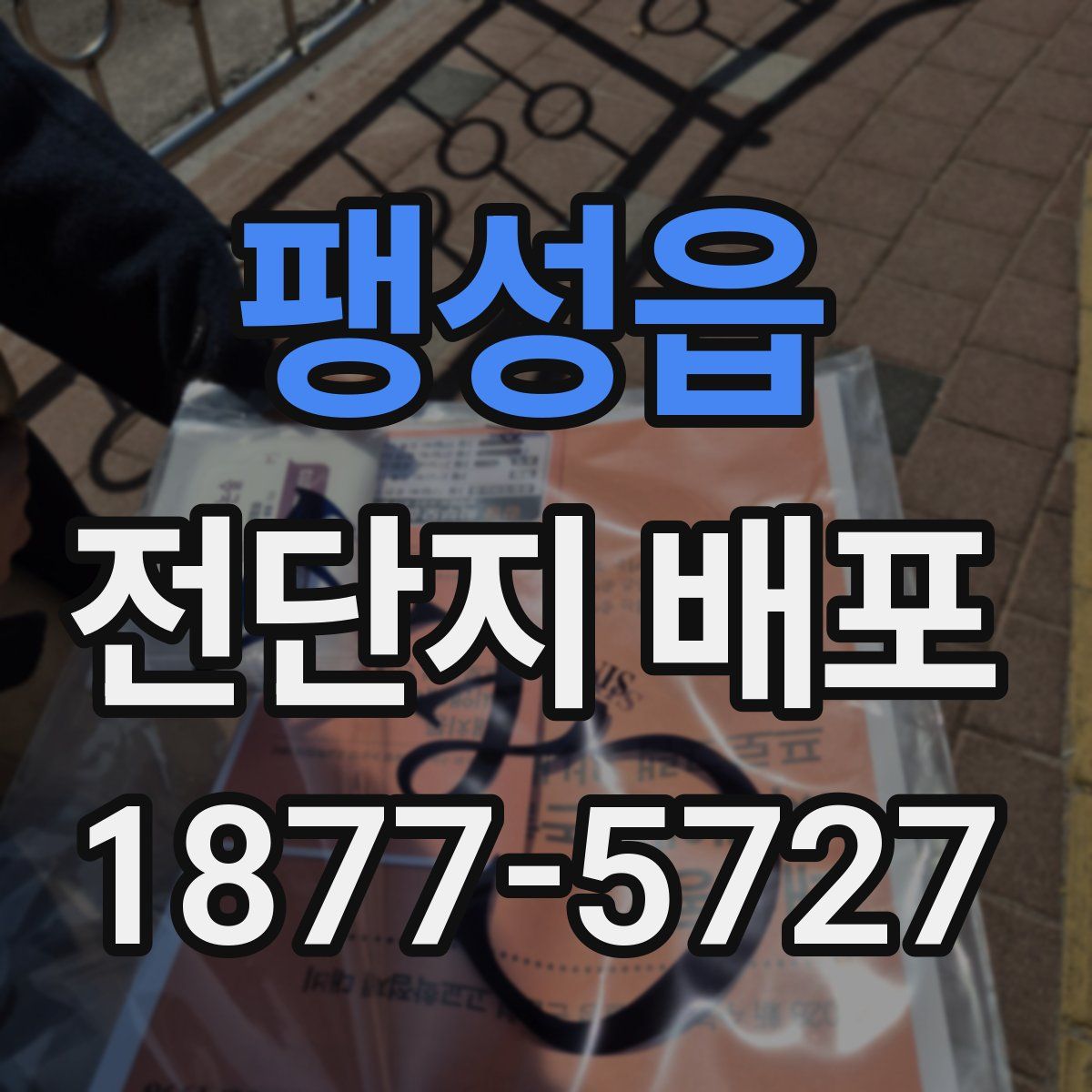 팽성읍 전단지 배포