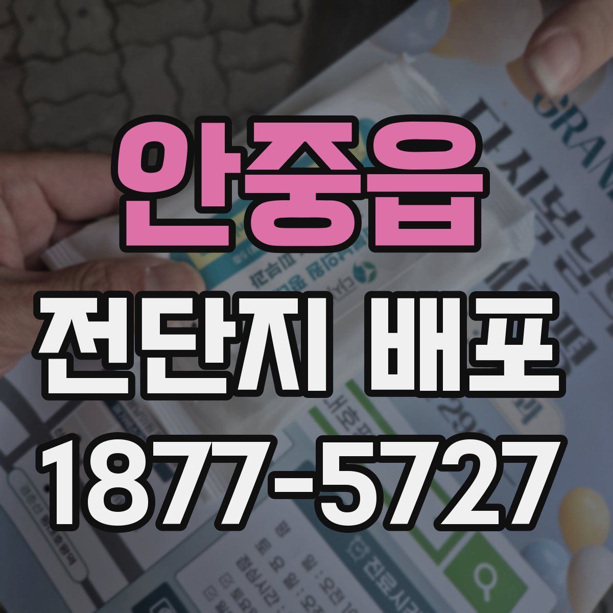 안중읍 전단지 배포