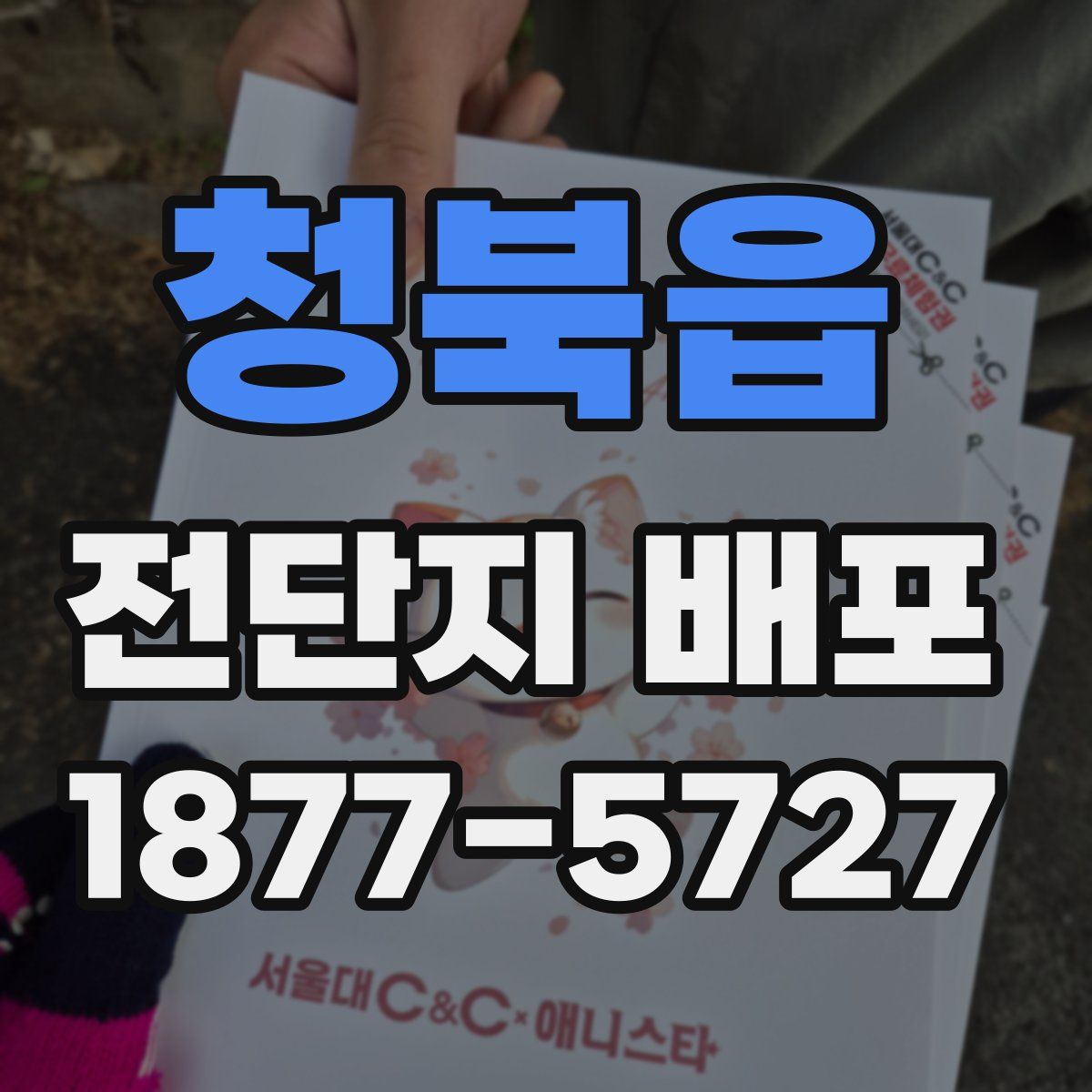 청북읍 전단지 배포