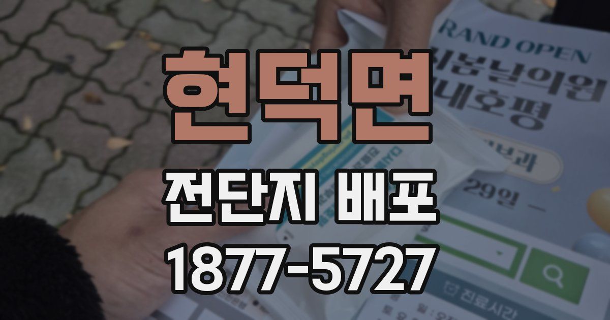 현덕면 전단지 배포