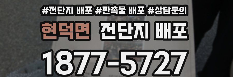 현덕면 전단지 배포