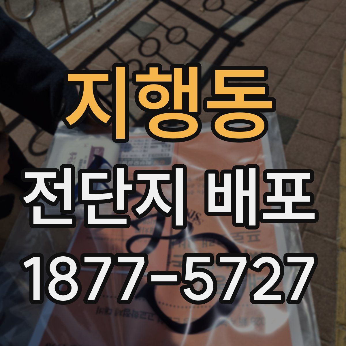 지행동 전단지 배포