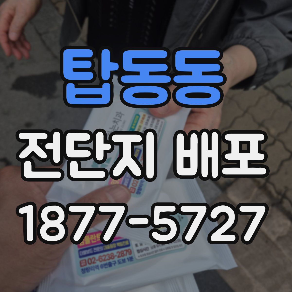탑동동 전단지 배포