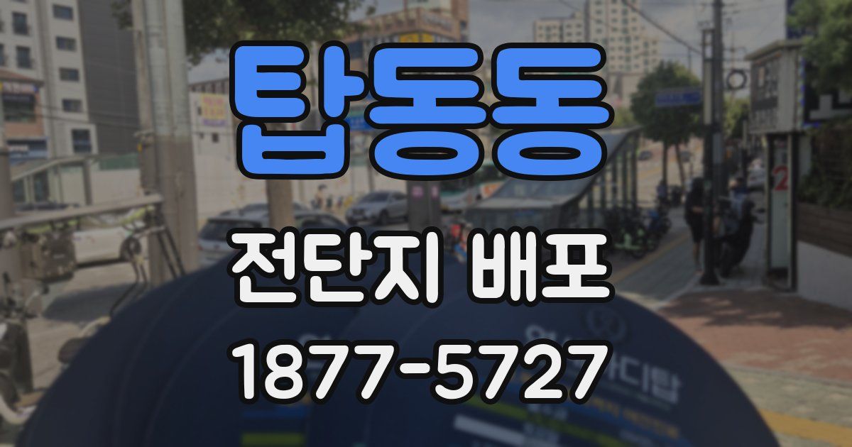 탑동동 전단지 배포