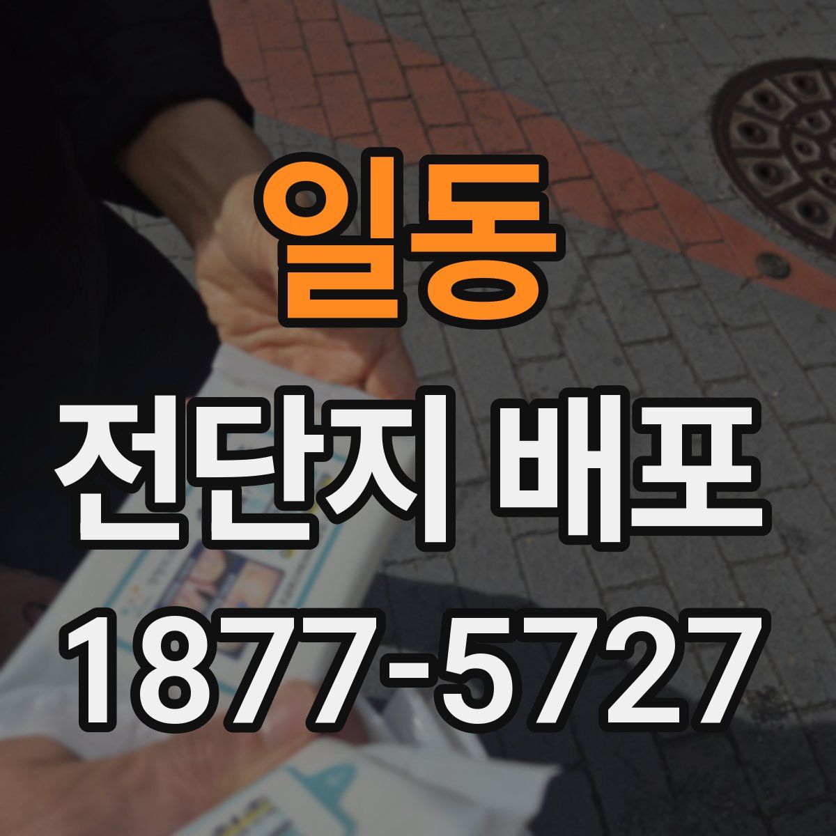 일동 전단지 배포
