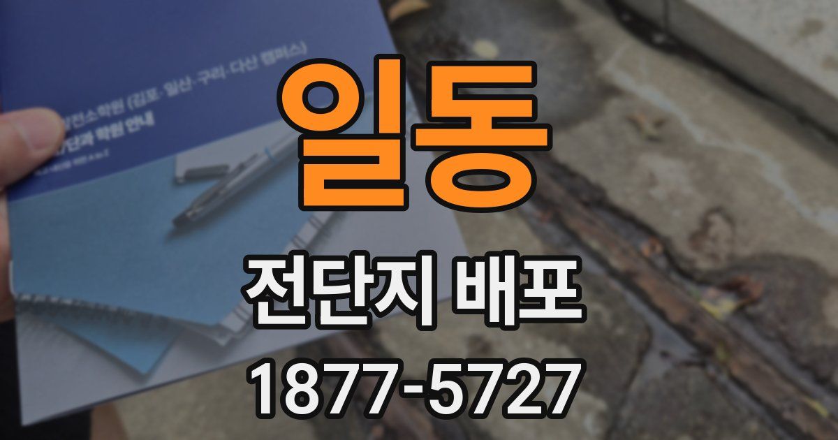일동 전단지 배포