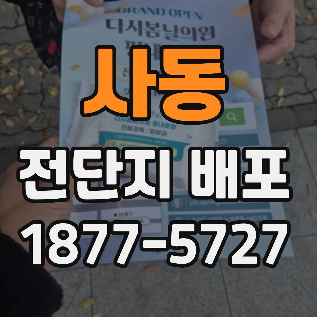 사동 전단지 배포