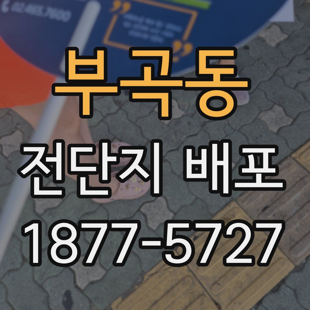 부곡동 전단지 배포