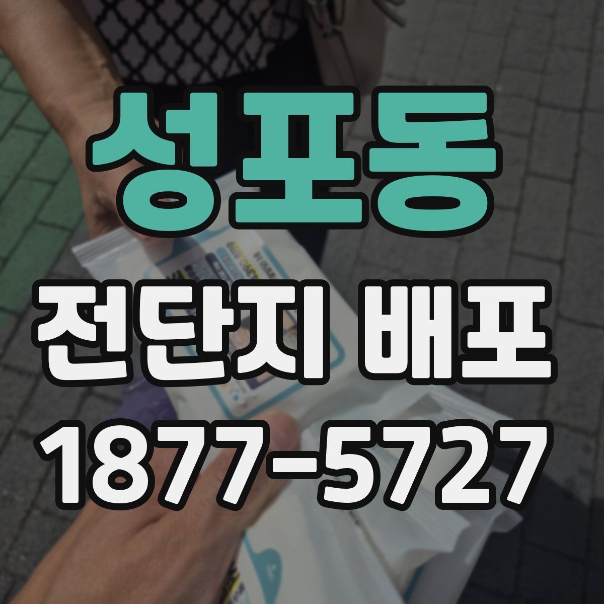 성포동 전단지 배포