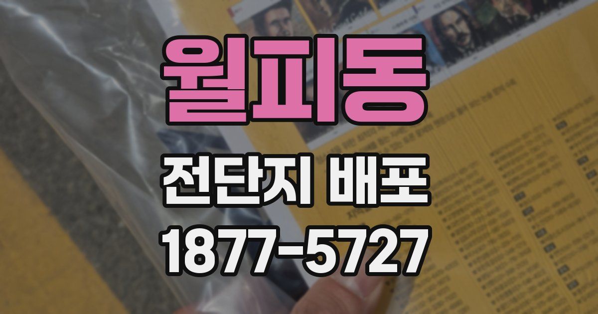 월피동 전단지 배포