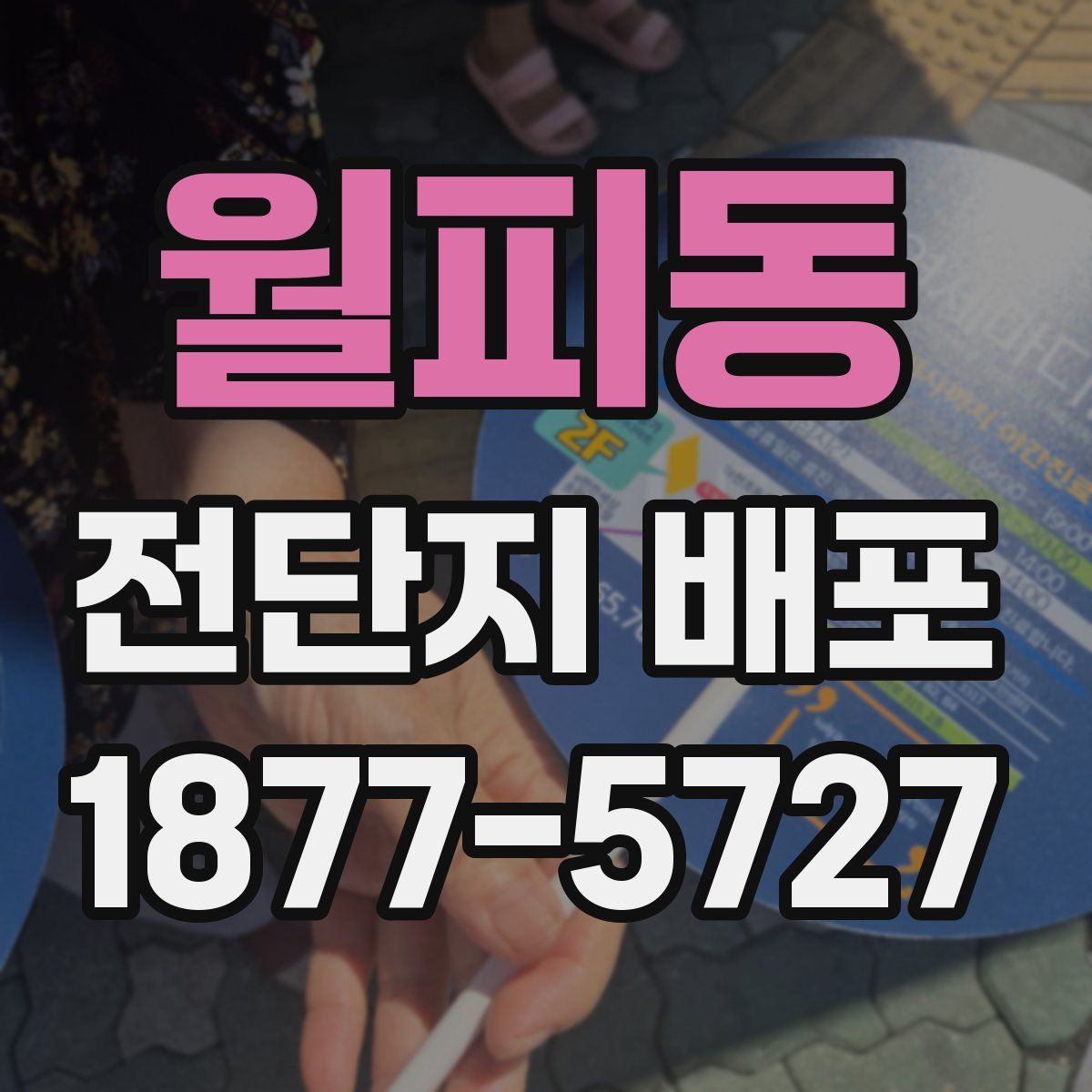 월피동 전단지 배포