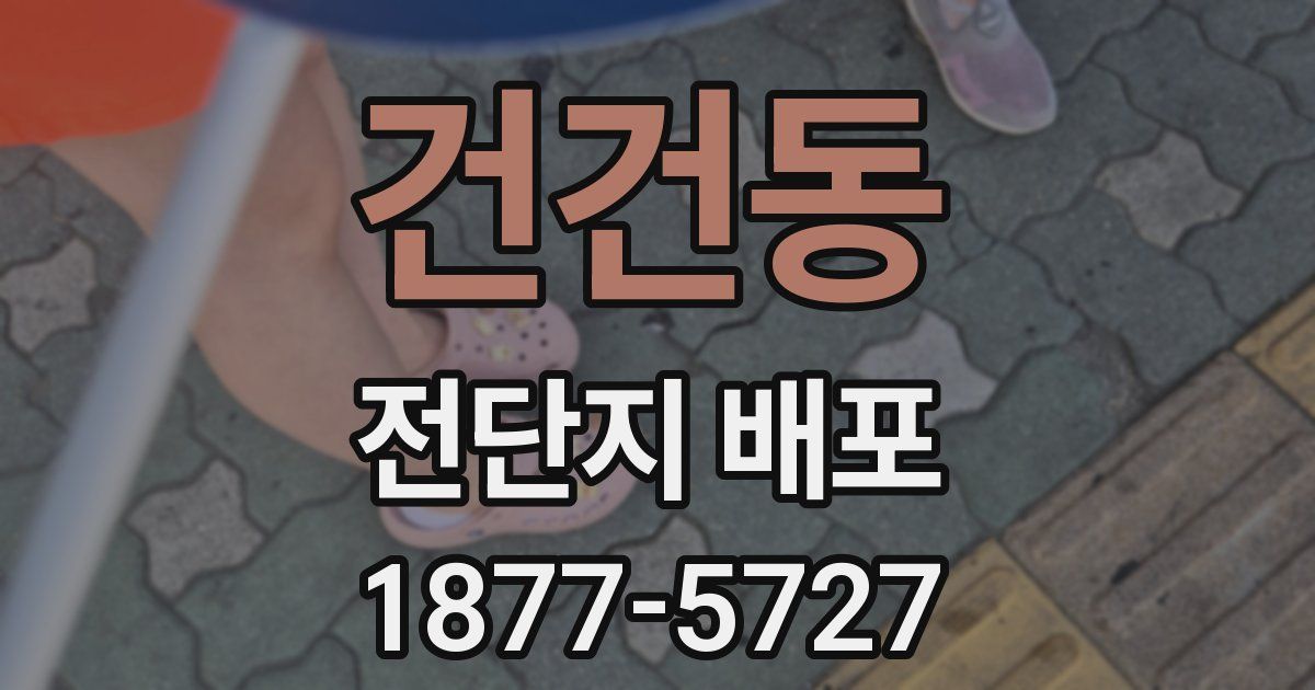 건건동 전단지 배포