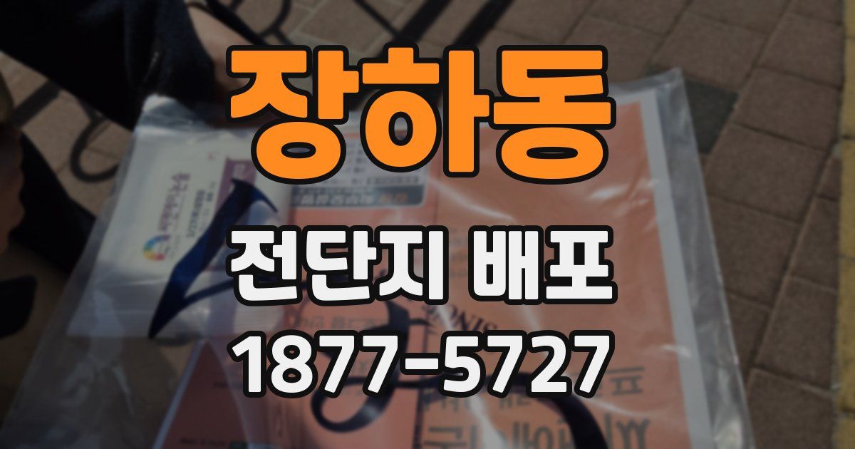 장하동 전단지 배포