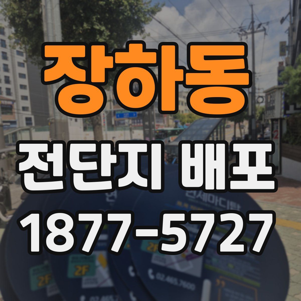 장하동 전단지 배포