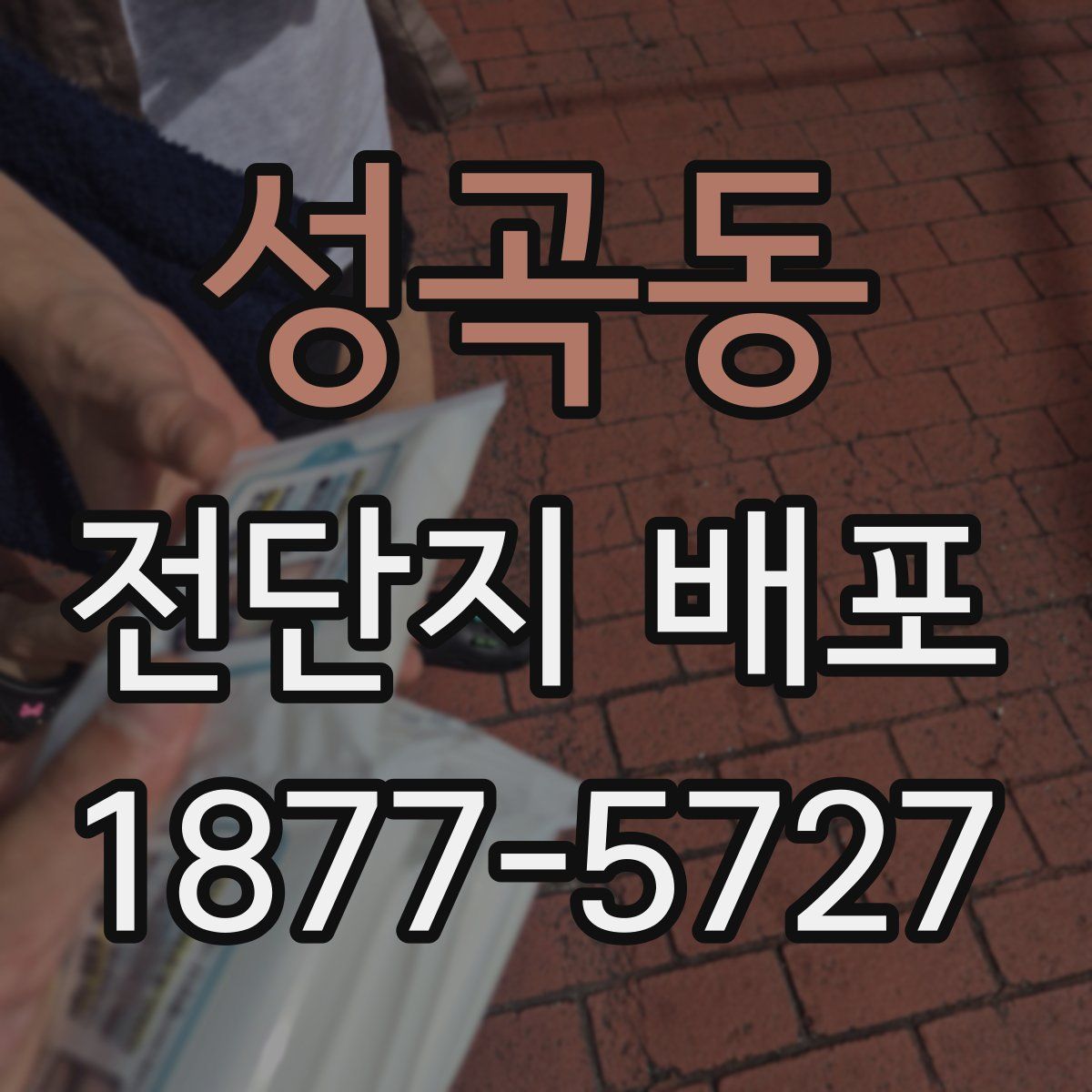 성곡동 전단지 배포