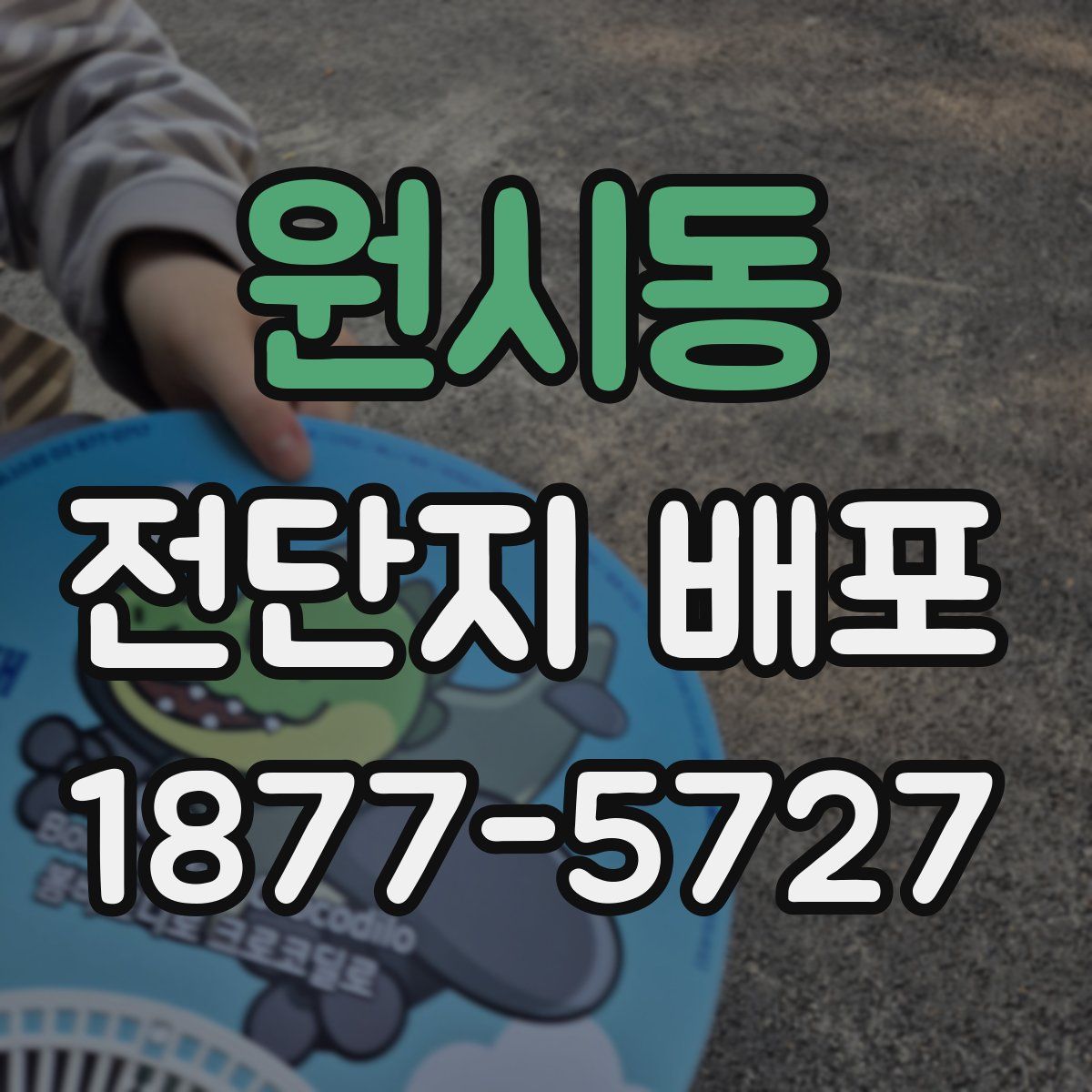 원시동 전단지 배포
