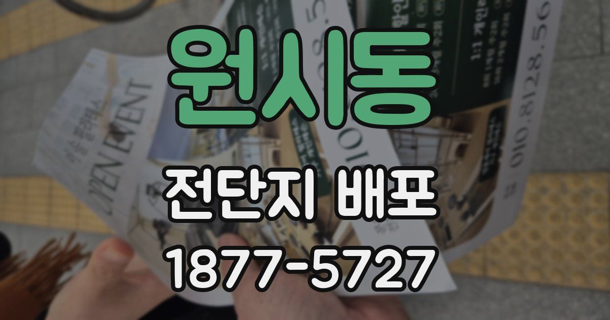 원시동 전단지 배포