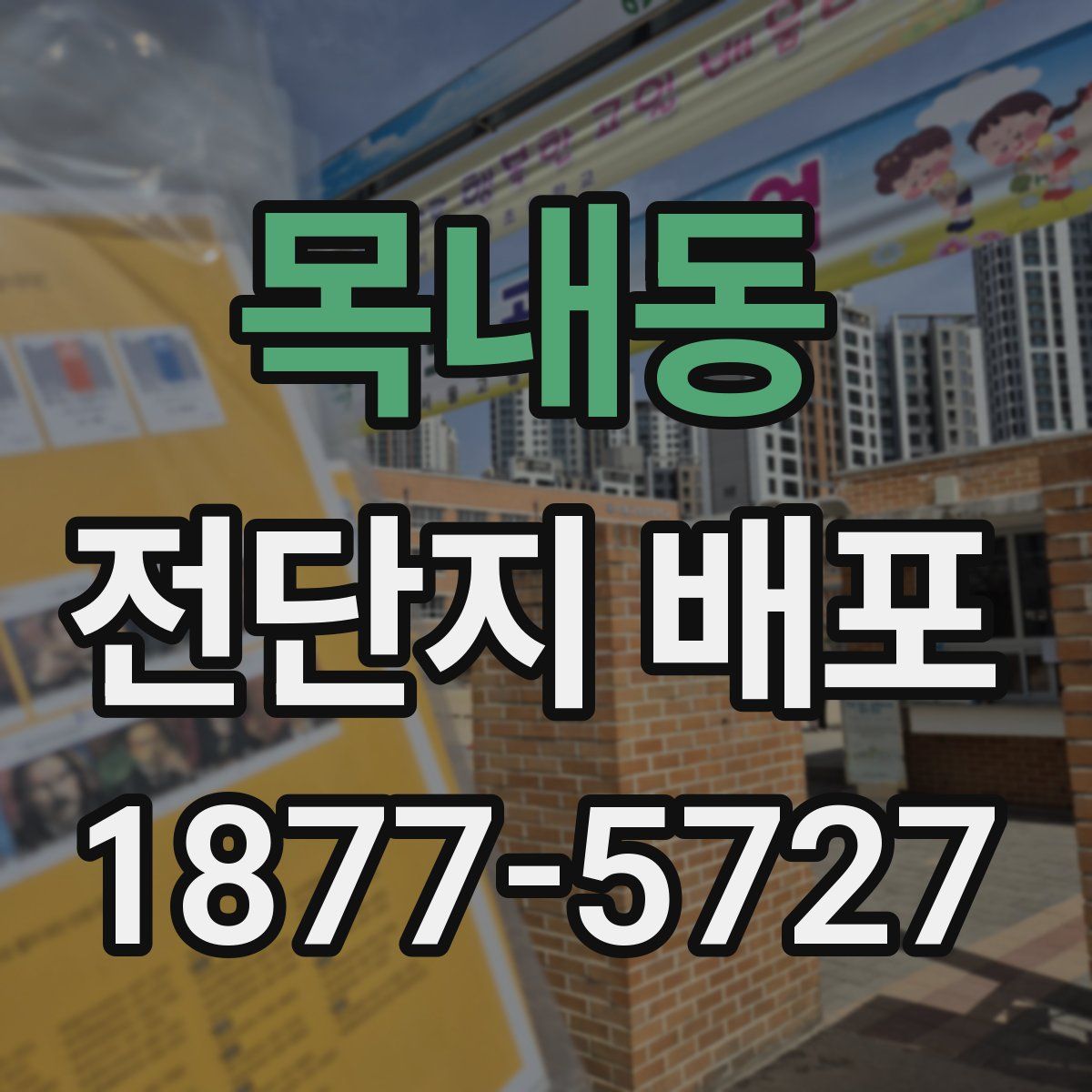 목내동 전단지 배포