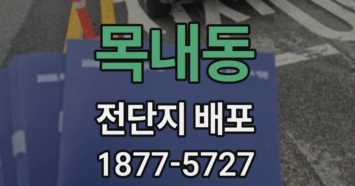 목내동 전단지 배포