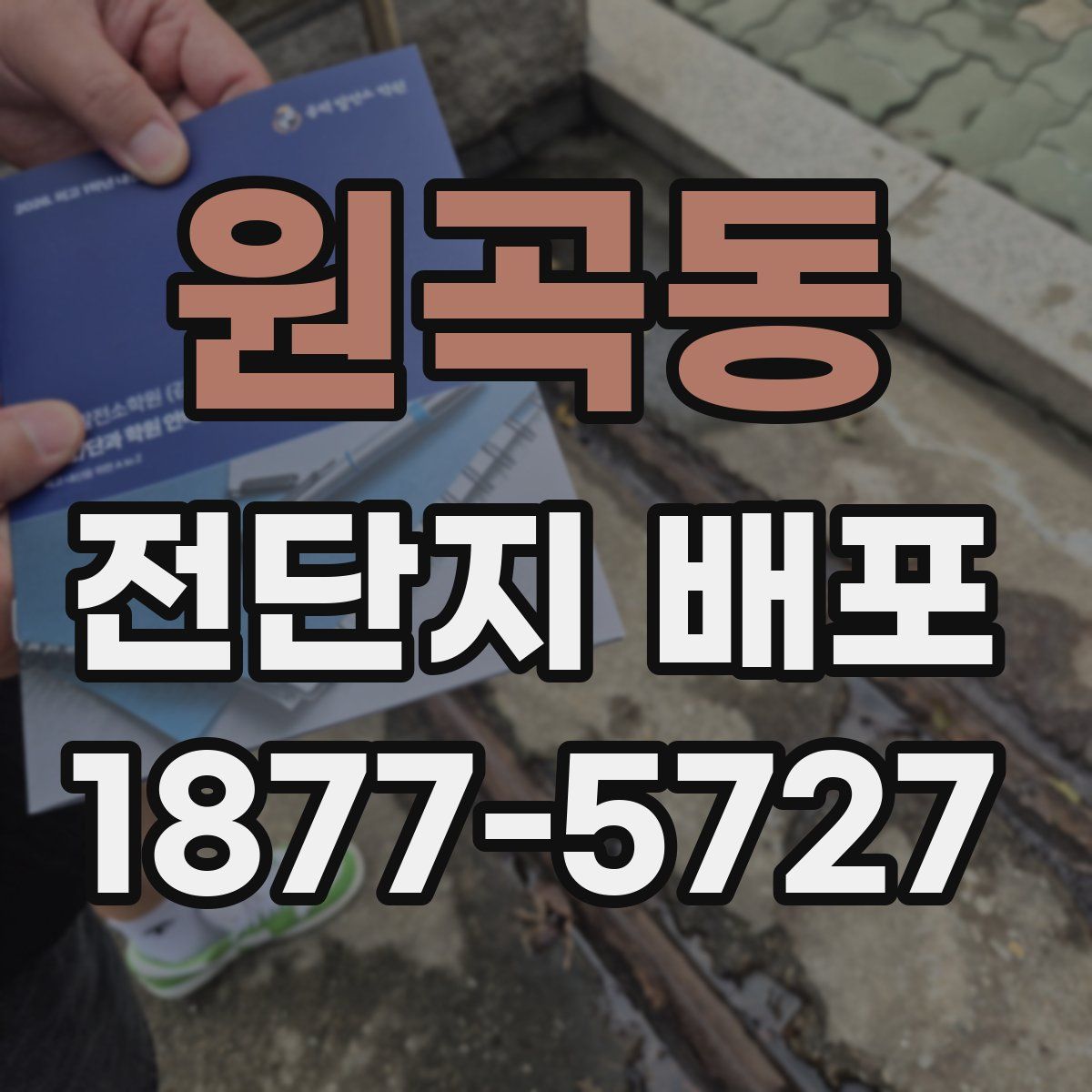 원곡동 전단지 배포