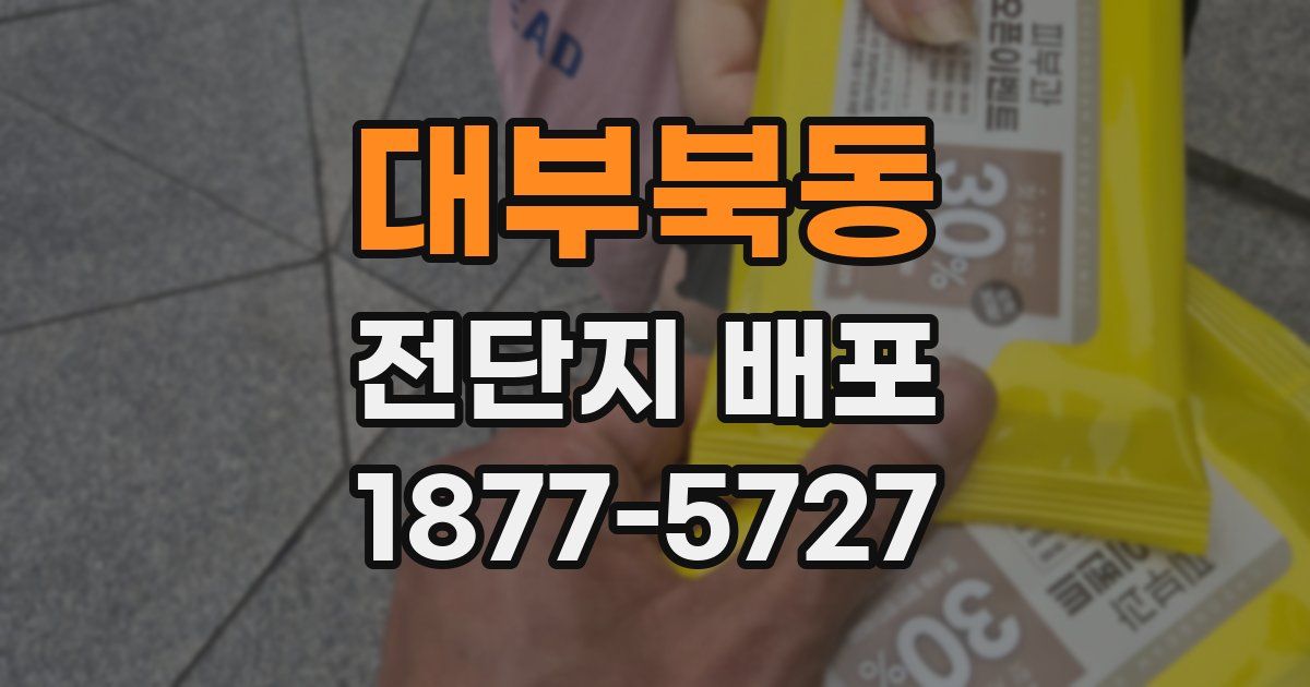 대부북동 전단지 배포