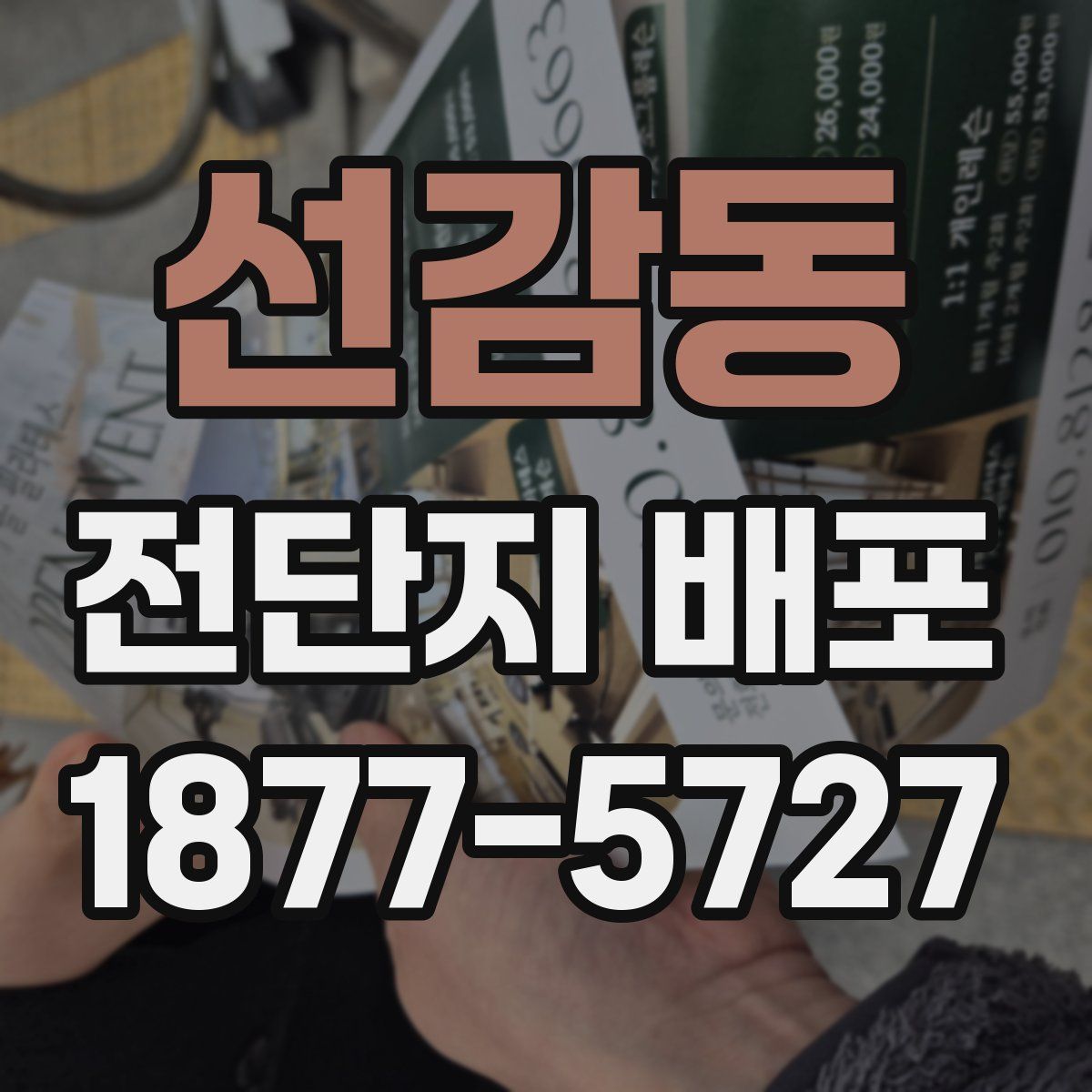 선감동 전단지 배포