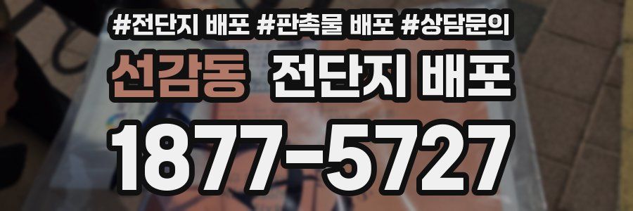 선감동 전단지 배포