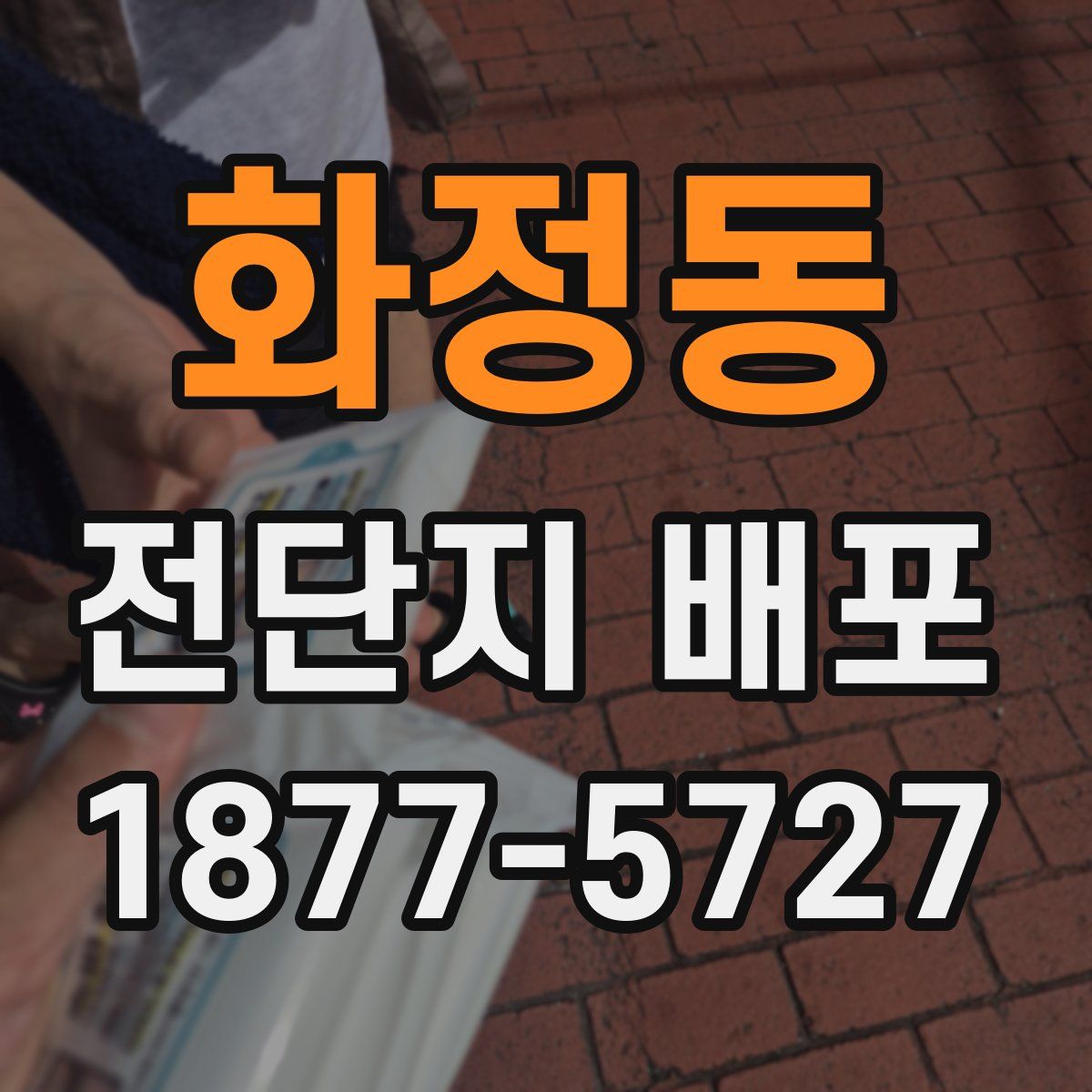 화정동 전단지 배포