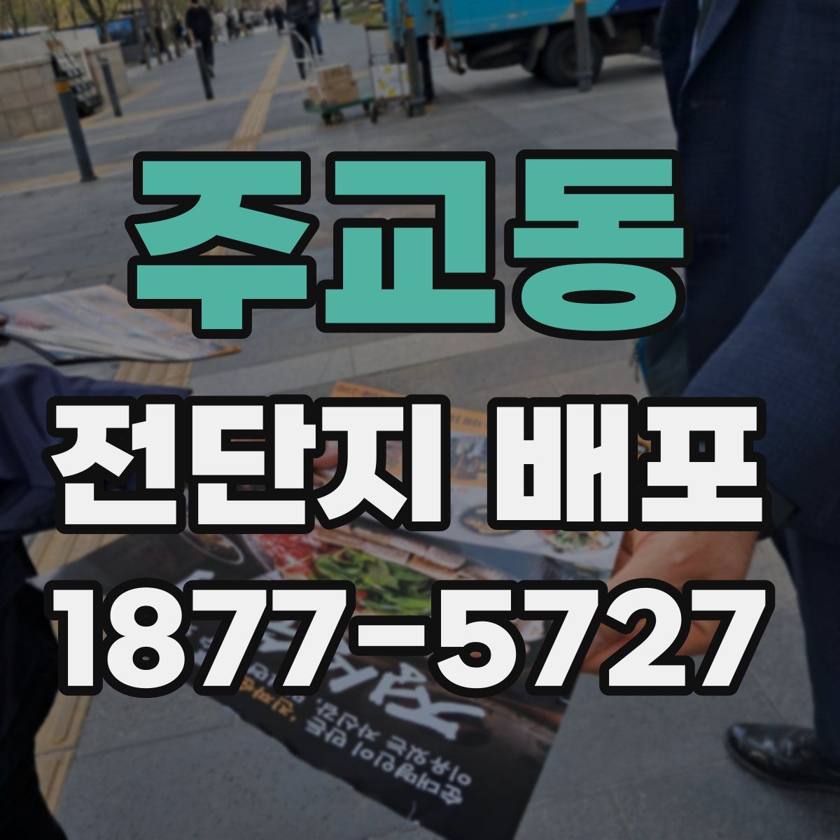 주교동 전단지 배포