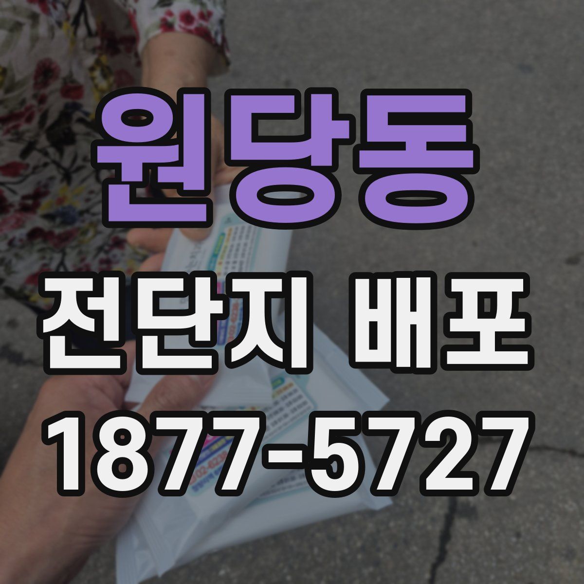 원당동 전단지 배포