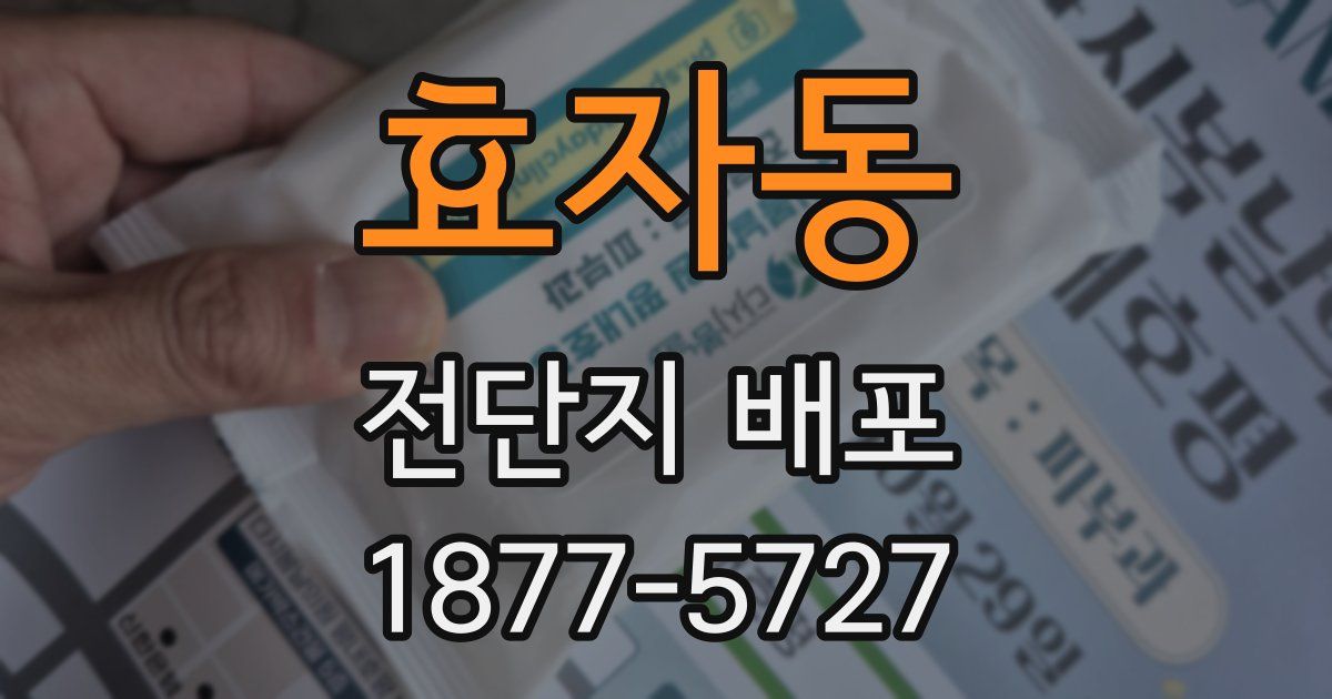 효자동 전단지 배포