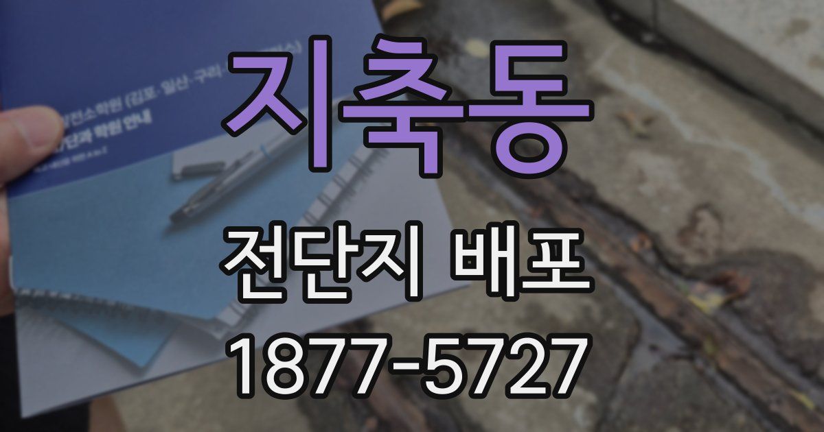지축동 전단지 배포