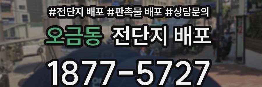 오금동 전단지 배포